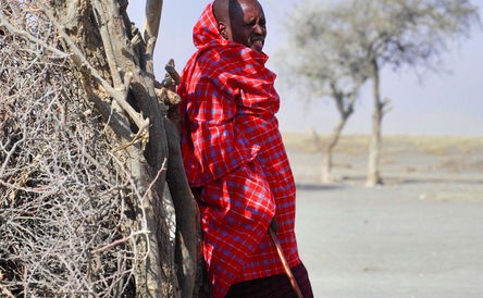 Experience the Thrills of a Tanzania Safari and Cultural Journey.