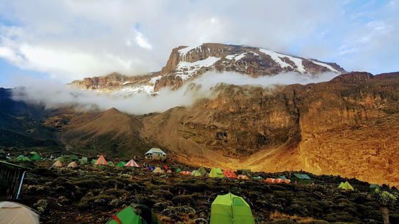 Camping on Kilimanjaro carries a responsibility to protect the mountain. Pack out all waste, avoid damaging vegetation, respect designated campsites, and leave the landscape as you found it. At Kijani Tours, we believe reaching the summit should never come at the mountain expense. Camping on Kilimanjaro carries a responsibility to protect the mountain. Pack out all waste, avoid damaging vegetation, respect designated campsites, and leave the landscape as you found it. At Kijani Tours, we believe reaching the summit should never come at the mountain expense.