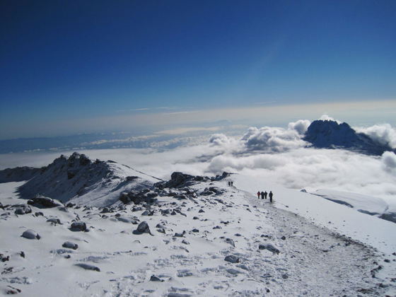 Step by step, through the snow, the cold wind, and thin mountain air. The legs grow tired, but the dream of standing at 5,895 meters keeps you moving. On Kilimanjaro, courage is not about being without fear. It is choosing to take the next step anyway. Pole pole. Keep going. Uhuru Peak is waiting. Step by step, through the snow, the cold wind, and thin mountain air. The legs grow tired, but the dream of standing at 5,895 meters keeps you moving. On Kilimanjaro, courage is not about being without fear. It is choosing to take the next step anyway. Pole pole. Keep going. Uhuru Peak is waiting.