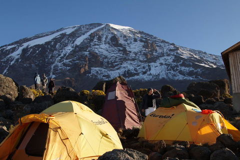 11-Day Kilimanjaro Northern Circuit Trek
