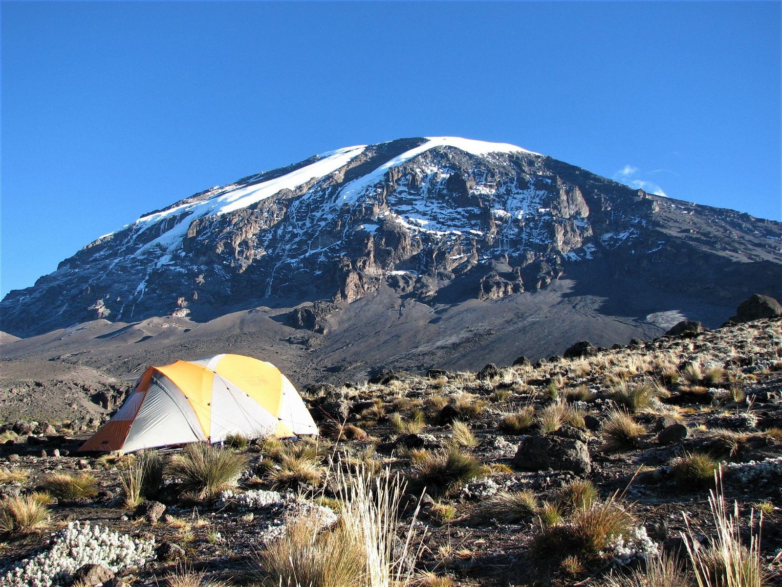 Climb Mount Kilimanjaro with Local Experts from Moshi