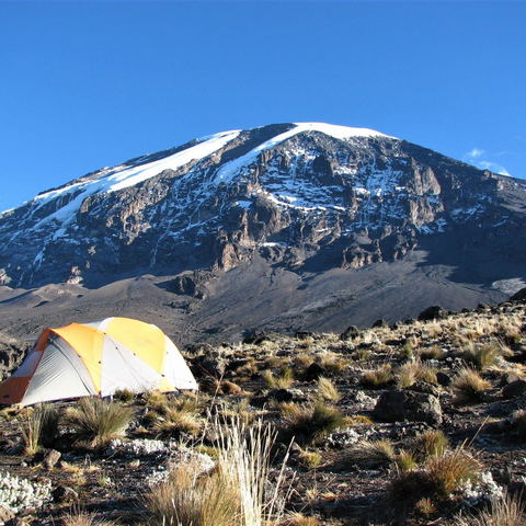 Climb Mount Kilimanjaro — Book Your Trek of a Lifetime