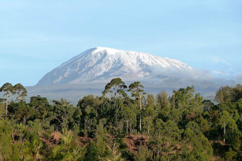 9-Day Kilimanjaro Lemosho Route Trek