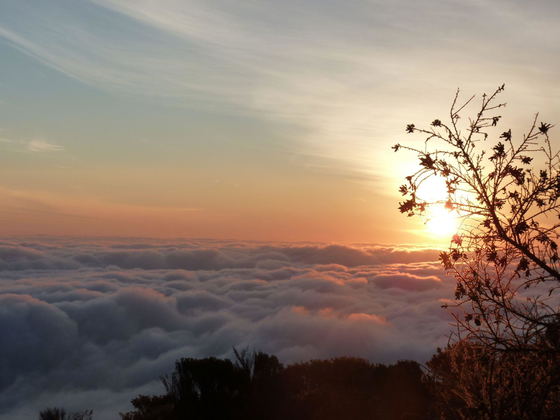 When sunlight breaks across Kilimanjaro, every ridge, rock and glacier seems to come alive. High above the clouds, the warmth of the sun meets the cool mountain air, creating a simple but unforgettable moment on the trail. When sunlight breaks across Kilimanjaro, every ridge, rock and glacier seems to come alive. High above the clouds, the warmth of the sun meets the cool mountain air, creating a simple but unforgettable moment on the trail.