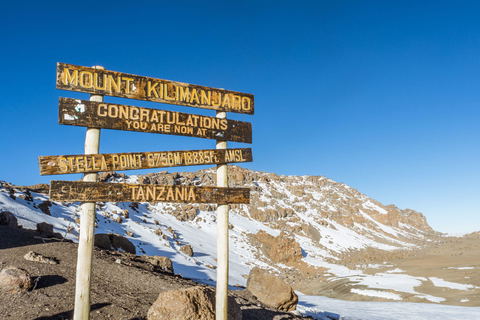 At 5,895 meters, Uhuru Peak is the highest point in Africa. Reaching the summit is a slow, demanding journey through changing landscapes, thin air, and cold, culminating in a view that makes every step meaningful.