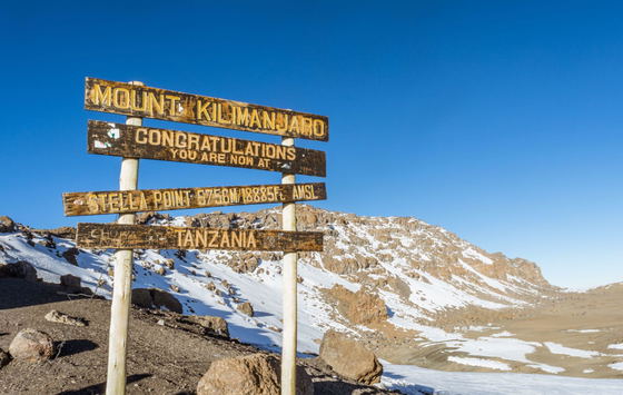 At 5,895 meters, Uhuru Peak is the highest point in Africa. Reaching the summit is a slow, demanding journey through changing landscapes, thin air, and cold, culminating in a view that makes every step meaningful. At 5,895 meters, Uhuru Peak is the highest point in Africa. Reaching the summit is a slow, demanding journey through changing landscapes, thin air, and cold, culminating in a view that makes every step meaningful.