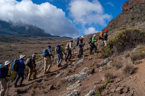 9-Day Kilimanjaro Trek via Rongai Route