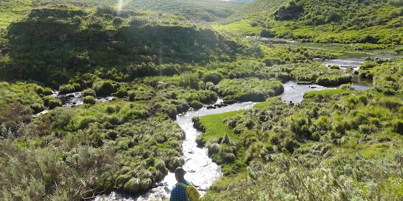 Kijani Tours: Discover. Connect. Restore.