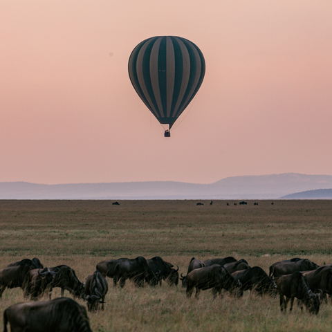 Explore Tanzania’s Wilderness: Your Eco-Conscious Safari Awaits