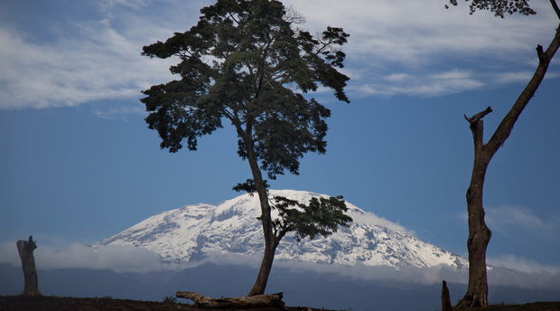 Regenerative journeys