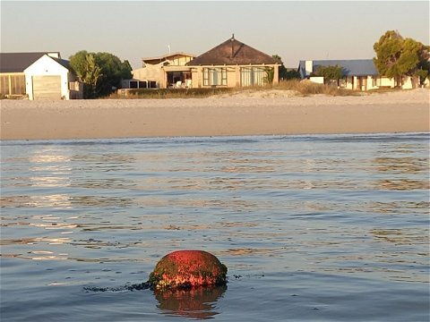 Water's Edge 2 property seen from the lagoon