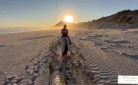Horse riding on the beautiful beach next to amazing dune