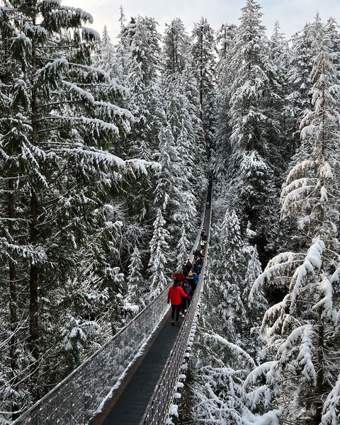 Whistler Mountain Resort