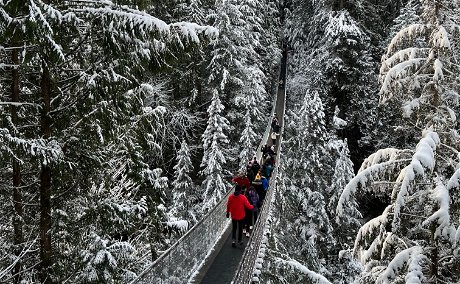 Whistler Mountain Resort