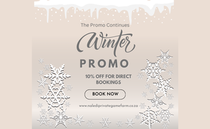 Winter Promotions