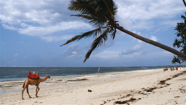 The nearby Nyali & Bamburi beaches offer sand and sea 