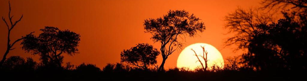 Kruger National Park Open Vehicle Safaris, Marloth Park Accommodation, DCC Hotel Group 7