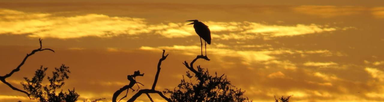 Sun set and bird life. Kruger Open Vehicle Safaris, DCC Hotel Group