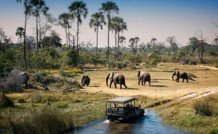 2 DAY CHOBE NATIONAL PARK HOLIDAY PACKAGE