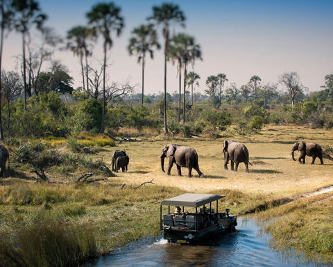 Chobe National Park