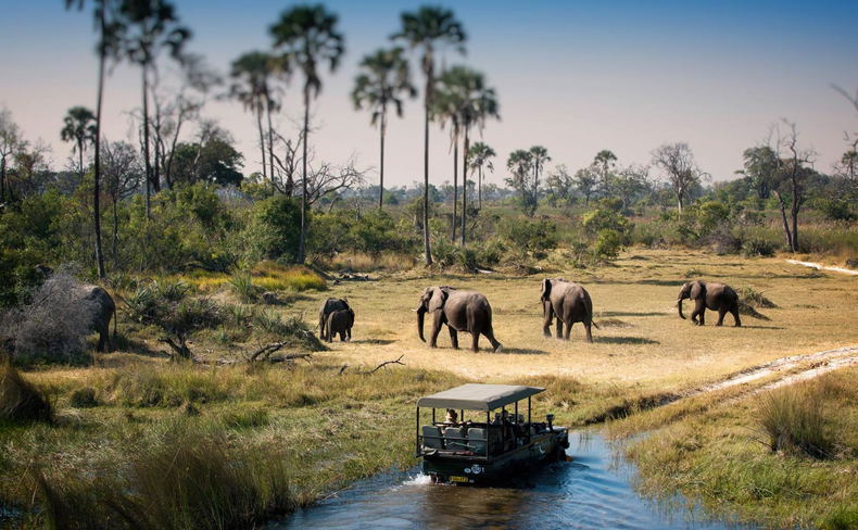 Chobe National Park
