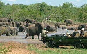 2 DAYS CHOBE HOLIDAY PACKAGE