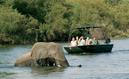 Chobe National Park Day Trip