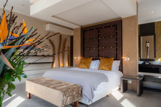 luxury accommodation constantia