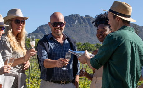 Constantia Wine Walk, Wine Tours