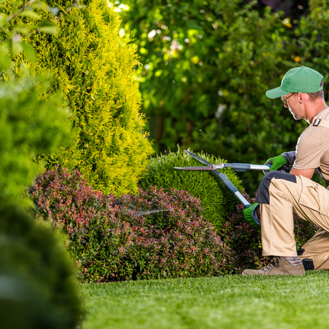 Landscaping