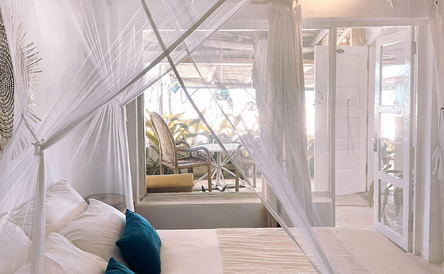 Standard Suite 6
