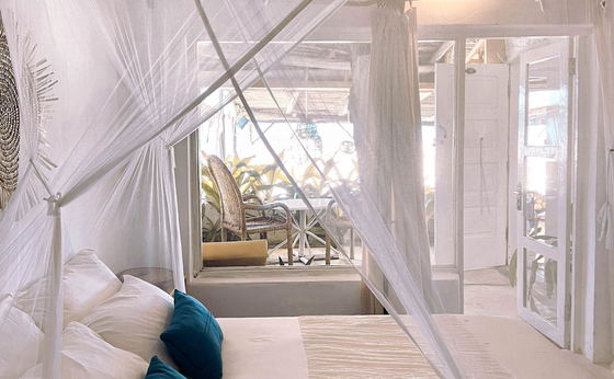 Standard Suite 6