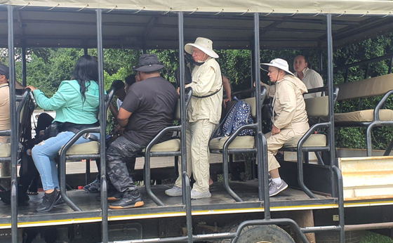 Safari Tour