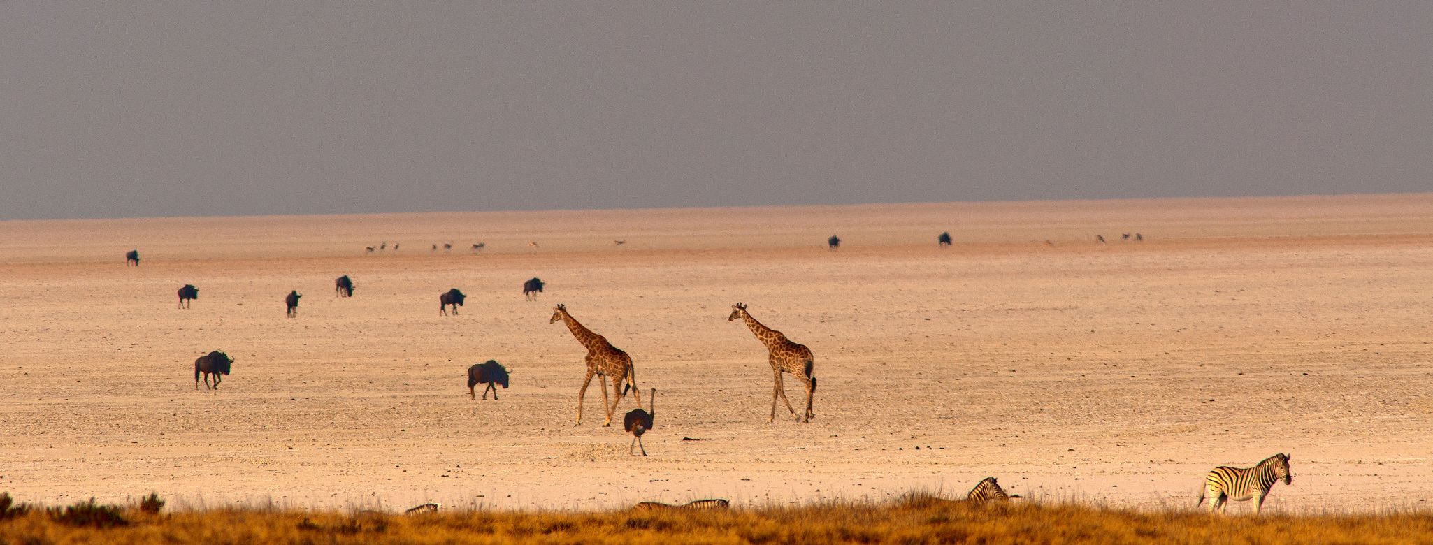 African Golf & Travel - 7 Day Namibia Golf & Safari Escape