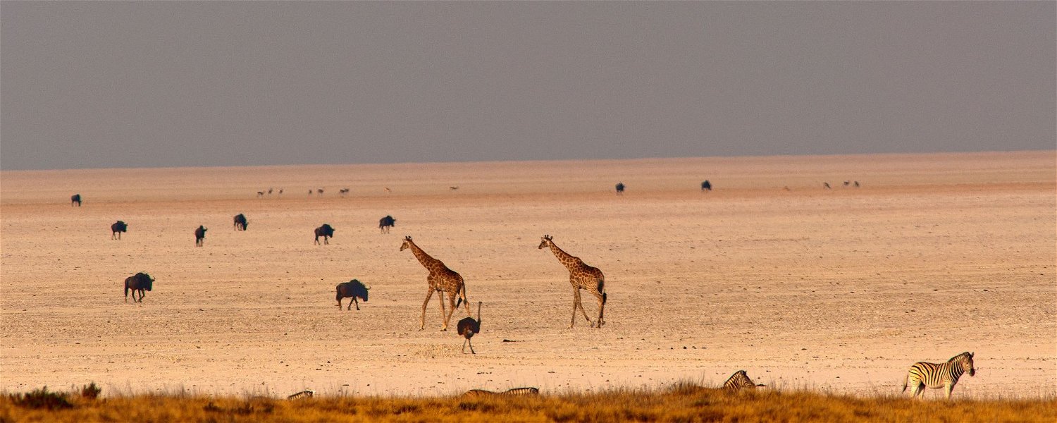 African Golf & Travel - 7 Day Namibia Golf & Safari Escape