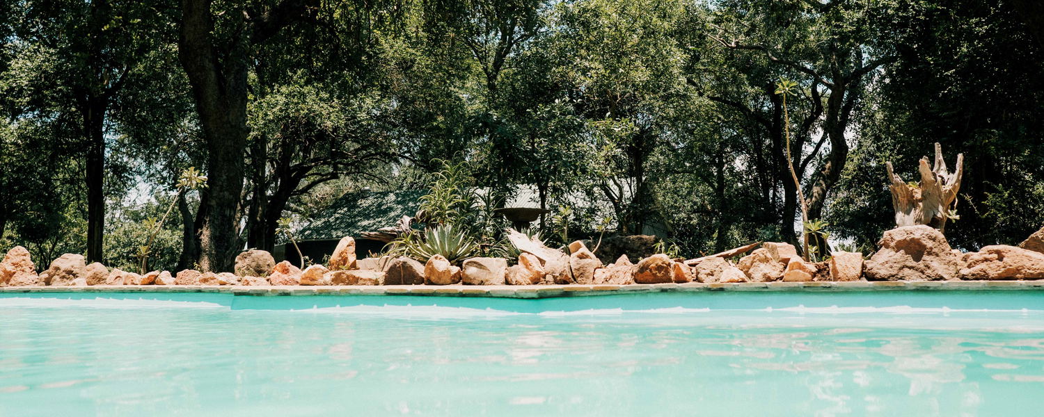 Rukuru Bush Lodge, Swimming pool, accommodation, safari, zimbabwe
