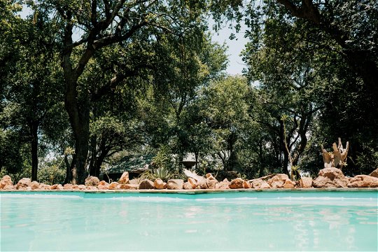 Rukuru Bush Lodge, Swimming pool, accommodation, safari, zimbabwe