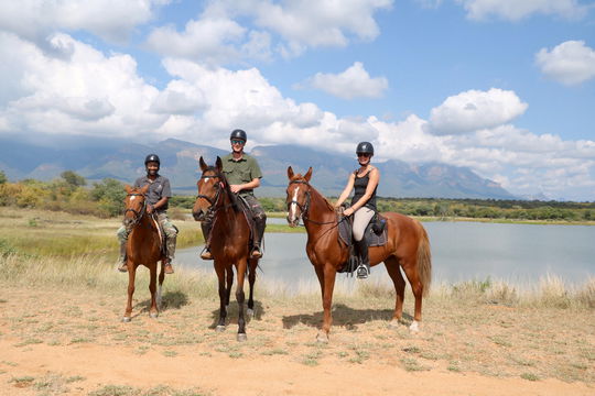 Horse Safari