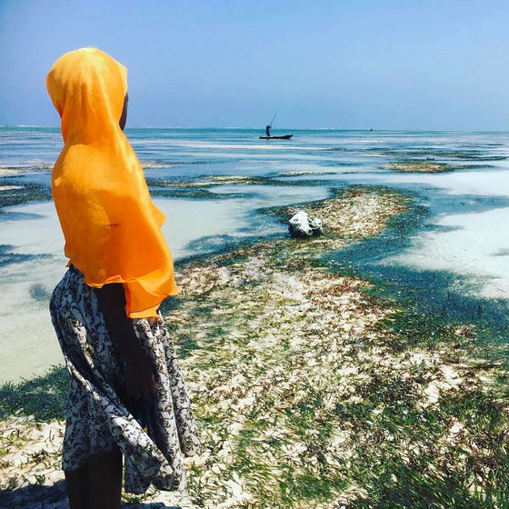 Imani Penthouse - We invite you to come and experience the magic of Zanzibar with us!