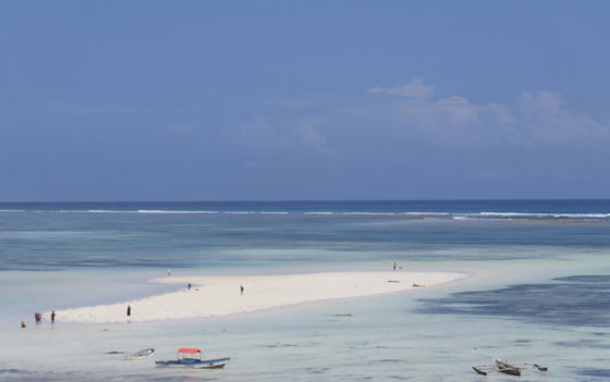 Imani Penthouse: Sandbank - Take a stroll along the sandbank which takes you out to the coral reef and discover the sea creatures hidden in the rock pools.