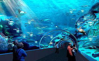 Places to go, sights to see