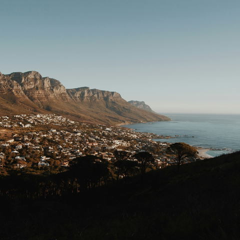 Places to eat, drink, live it up