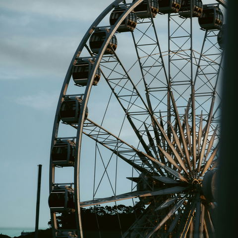 Shopping and markets, arts and curios