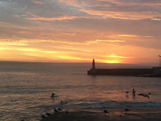 Stilbaai Harbour wall at sunset