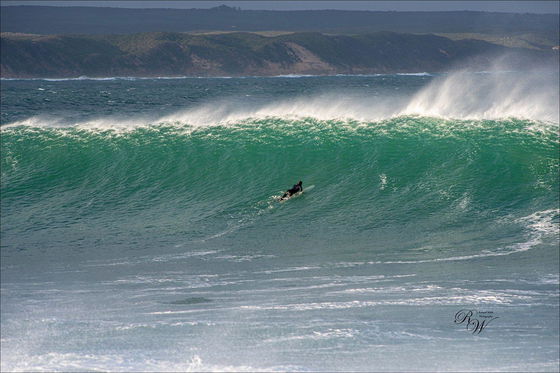 Stilbaai surfer Morris Point Skulpiesbaai Nature Reserve