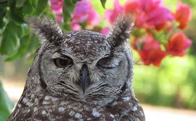 Book direct and get 10% off