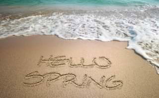 SPRING DEAL. 20% Discount
