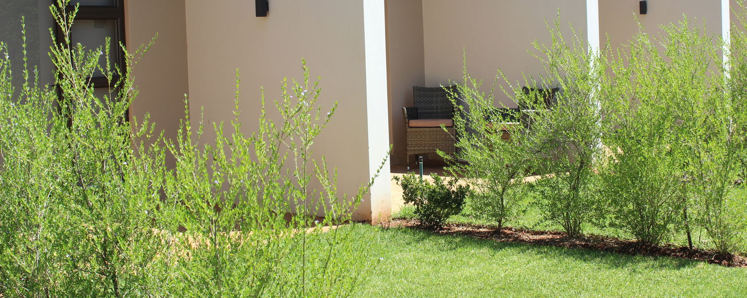 Accommodation