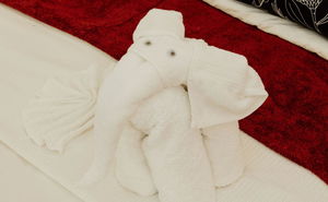 Midweek Special 2026