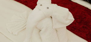 Midweek Special 2026